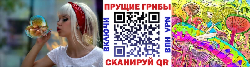 наркота Новая Усмань Галлюциногенные грибы MAGIC MUSHROOMS